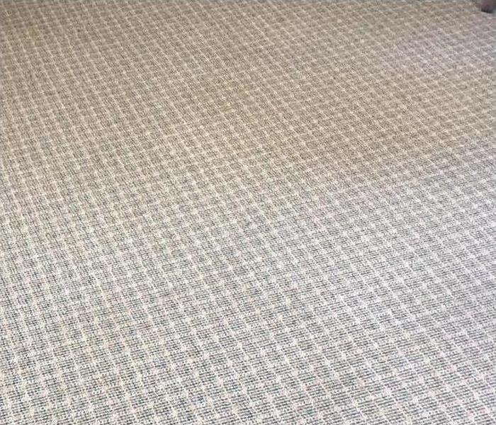 Carpet with stains removed 