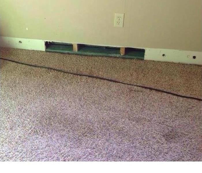 carpet that has water damage 