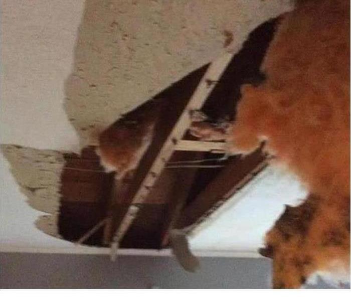 water damaged ceiling 